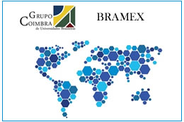 bramex